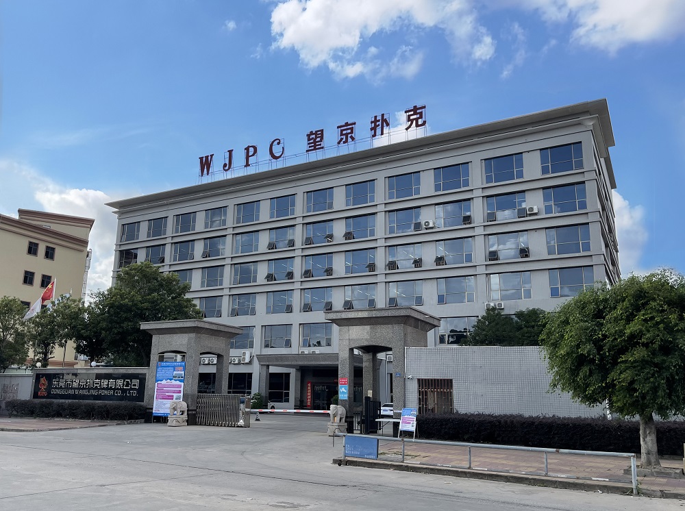 有限公司：以创新与实力引领卡牌行业发展pg电子试玩网站免费广东望京卡牌科技